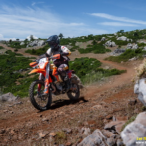 Hellas Rally